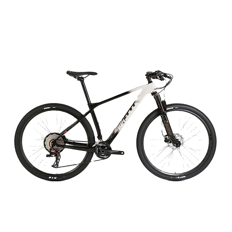 Mountain Biking Gear - 고급 초경량 29인치 산악 자전거 카본
